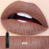NICE FACE Sexy Color Matte Lipstick High Gloss Lips Long-Lasting Moisturizer Smooth Lipstick Nude Makeup Lip Tint Kit Cosmetics