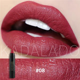 NICE FACE Sexy Color Matte Lipstick High Gloss Lips Long-Lasting Moisturizer Smooth Lipstick Nude Makeup Lip Tint Kit Cosmetics