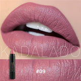 NICE FACE Sexy Color Matte Lipstick High Gloss Lips Long-Lasting Moisturizer Smooth Lipstick Nude Makeup Lip Tint Kit Cosmetics