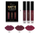 3Pcs/Lot Matte Long-lasting Lipstick Liquid 12 Colors Waterproof Lip Gloss 5gx3 Lips Makeup