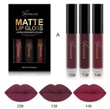 3Pcs/Lot Matte Long-lasting Lipstick Liquid 12 Colors Waterproof Lip Gloss 5gx3 Lips Makeup