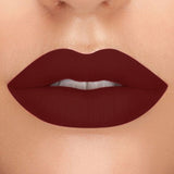 FOCALLURE New Matte Liquid Lipstick High Pigment Lip Tint Sexy Red Easy to Wear 2019 Rich Hot Color Lips makeup Liquid Lipstick