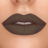 FOCALLURE New Matte Liquid Lipstick High Pigment Lip Tint Sexy Red Easy to Wear 2019 Rich Hot Color Lips makeup Liquid Lipstick