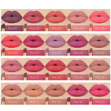 20colors/lot O.TWO.O Matte Lipstick Set Wholesale Moisturizer Smooth Lipstick Waterproof Lasting Profession Lipsticks Makeup