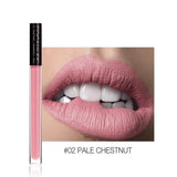 Compact Size Matte Lip Gloss Lipstick Long Lasting Sexy Women Fashionable Lip Makeup Lipstick Cosmetic Tools