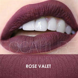 FOCALLURE 25 colors matte liquid lipstick waterproof long lasting nude velvet red matte lipstick top quality lip stick