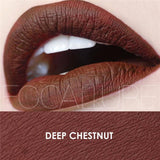 FOCALLURE 25 colors matte liquid lipstick waterproof long lasting nude velvet red matte lipstick top quality lip stick