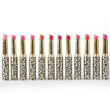 New Professional 12pcs/lot Makeup Lipstick Waterproof Cosmetic Lip Gloss Rouge Lip Sticks WD2