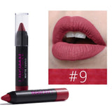 Brand Cosmetics Lipstick Matte Long Lasting Velvet Lipstick To Increase The lips Professional Waterproof Makeup 12 colors