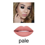 2018 Brand New Long Lasting Liquid Lipstick Matte Liquid Lipstick Nude Lip Gloss
