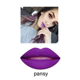 2018 Brand New Long Lasting Liquid Lipstick Matte Liquid Lipstick Nude Lip Gloss
