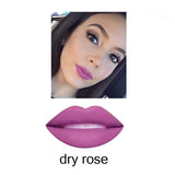 2018 Brand New Long Lasting Liquid Lipstick Matte Liquid Lipstick Nude Lip Gloss